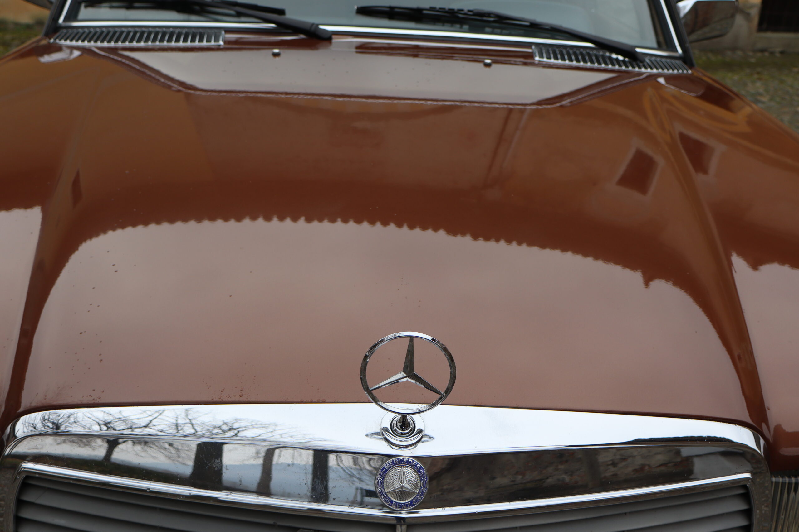 Mercedes 280 E W123 Anno 1976 colore Milan Brown e interno Velluto Brazil Fantastica!!Rara!! - immagine 49